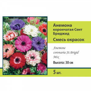 83593858 Анемона корончатая Сент Бриджид микс луковица 5/6
