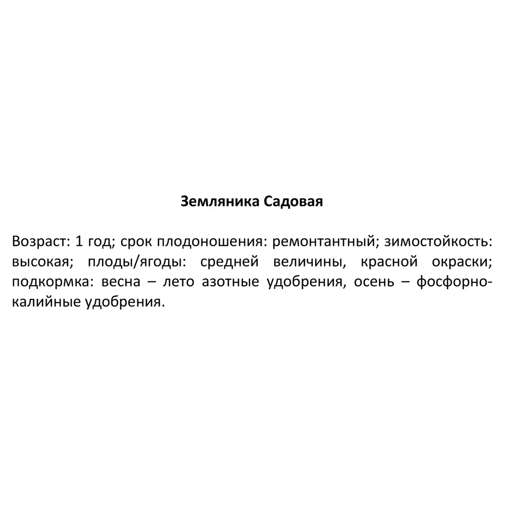 Земляника Мара Де Буа ø9 h15 см 84834863 STLM-2137466 PLANTMARKET  - Вид №2