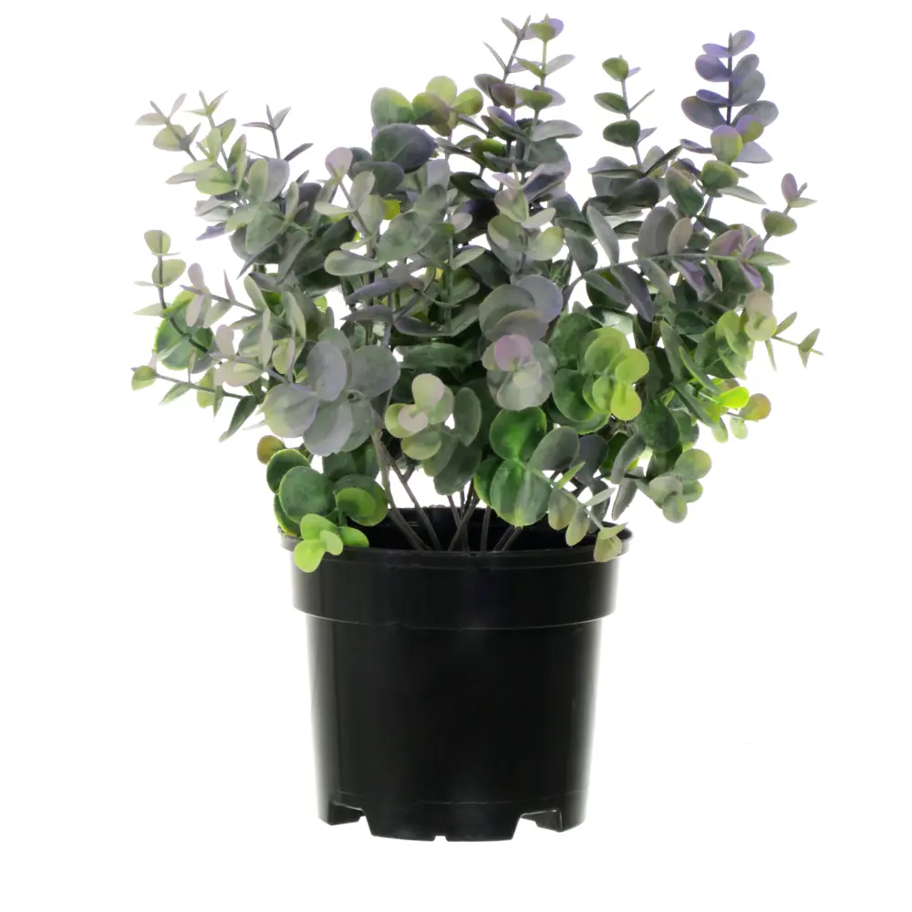 89356249 Искусственное растение в горшке эвкалипт h30 см цвет фиолетовый STLM-0962395 Santreyd 