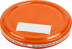 85240243 Крышка ТО 66 сталь STLM-0060357 Santreyd