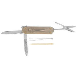 Швейцарский нож Victorinox Classic SD Colors Mystical Morning 9011941