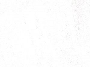 Equipo DRT Ткань из полиэстера с графическими мотивами для штор