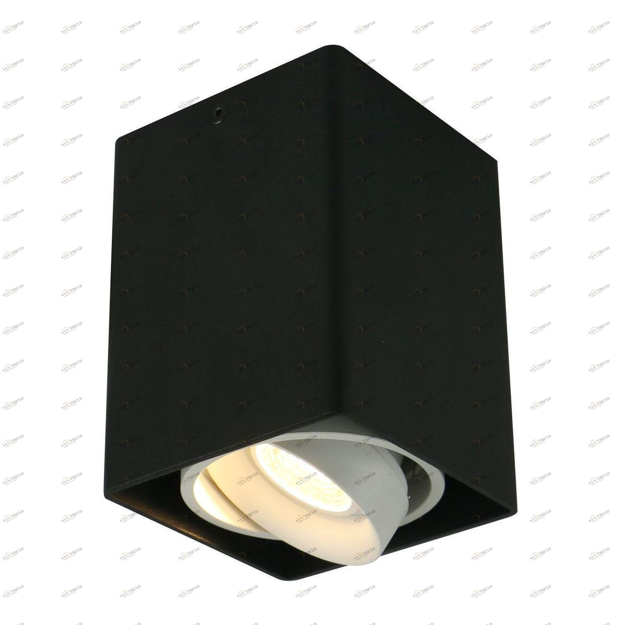 Потолочный светильник Arte Lamp A5655PL-1BK ARTE LAMP 5655 201309 Черный 