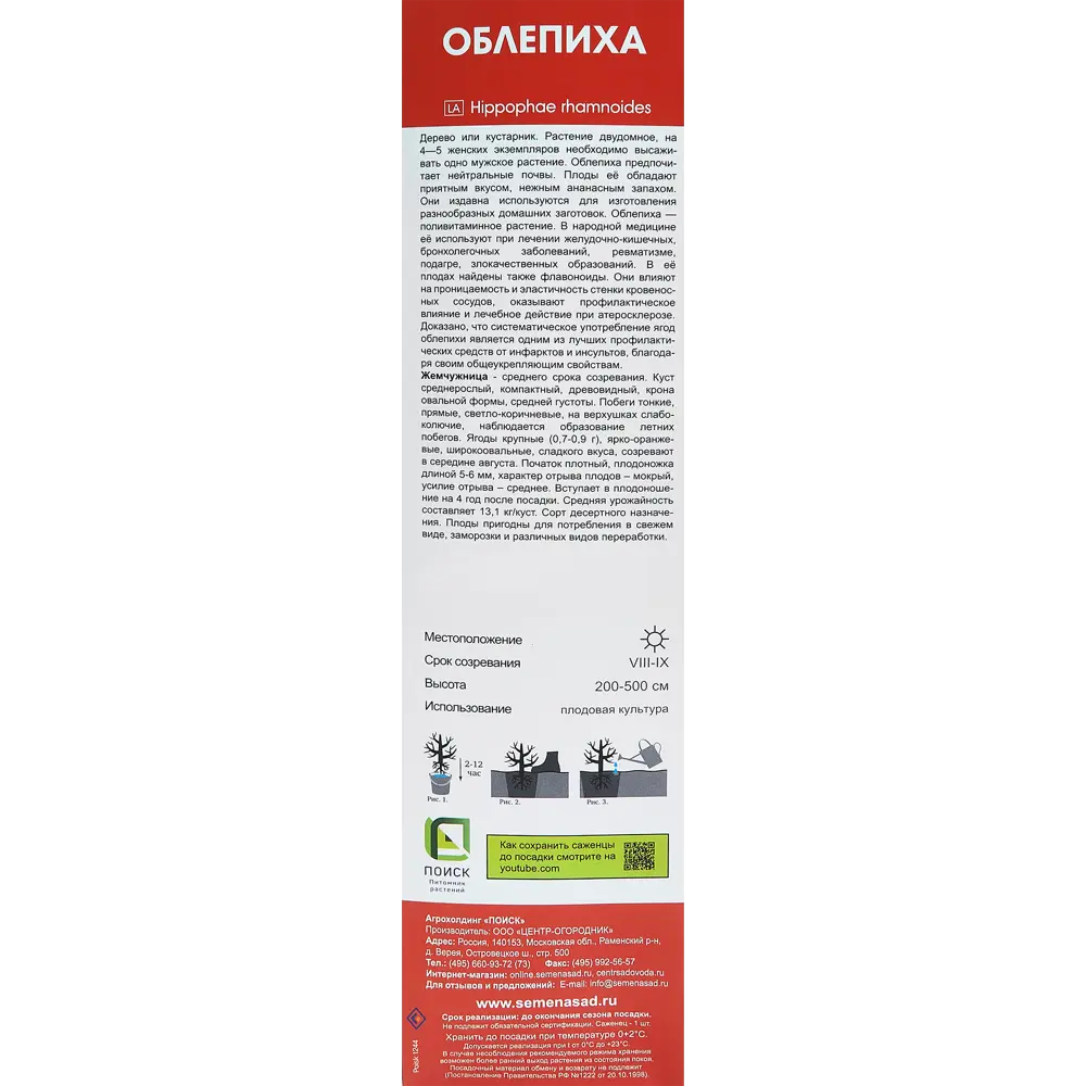 Облепиха Жемчужница h40 см 86543960 STLM-2097384 Santreyd  - Вид №2