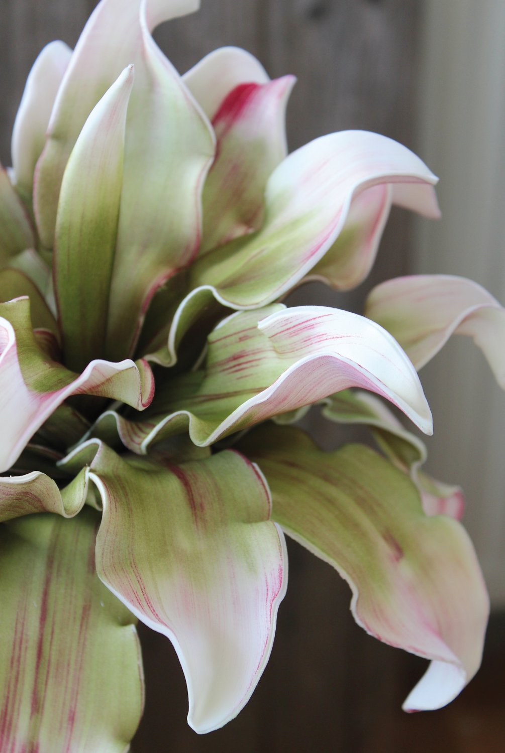 7898 508 a3 Искусственный протея мягкий цветок, 38 см, розово-зеленый H-andreas  - Вид №5