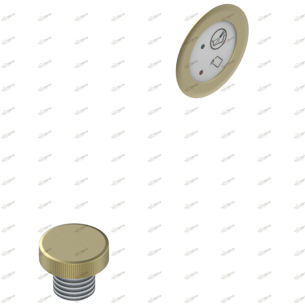 B12-K110 Система дезинфекции со сменным блоком 1 литр Thg-paris Системы гидромассажа Покрытие PVD матовая латунь B12-K110 CAT.F