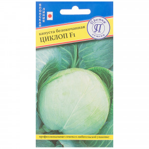 81932033 Семена Капуста белокачанная «Циклоп» F1