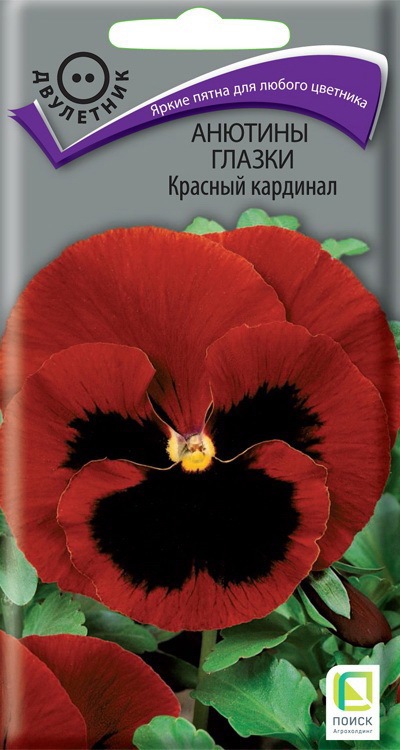 Santreyd Анютины глазки Красный кардинал - яркий акцент для сада 86218026 STLM-0066957