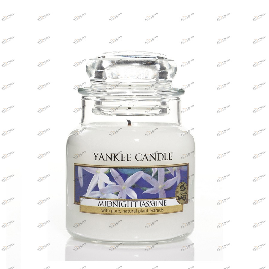 Свеча маленькая в стеклянной банке "Ночной жасмин" Midnight Jasmine 104гр 25-45 часов YANKEE CANDLE  267919 Белый 