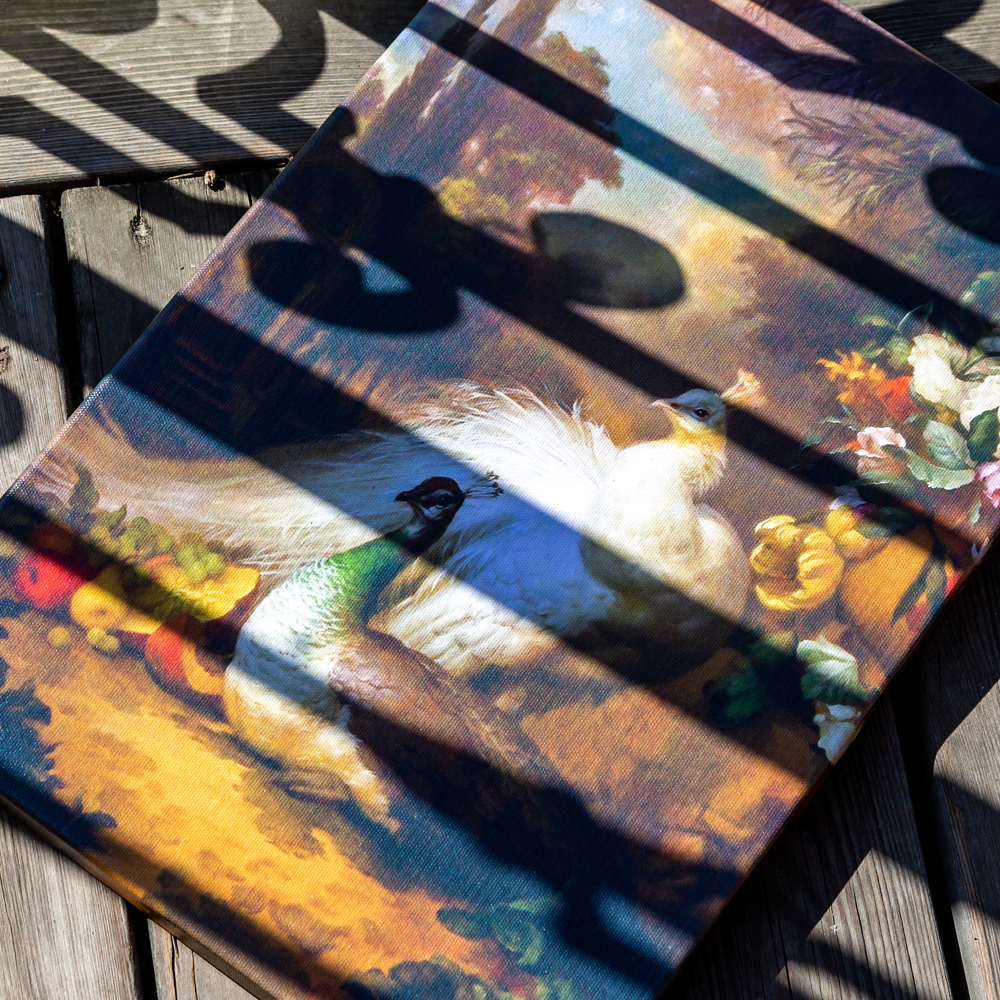 75080013 Картина «Королевский павлин», версия 1 (холст, галерейная натяжка) Object Desire  - Вид №3