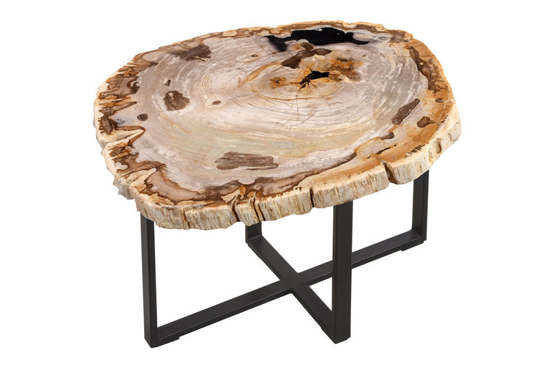 FUBR019 Приставной столик из окаменелого дерева ijlbrown 