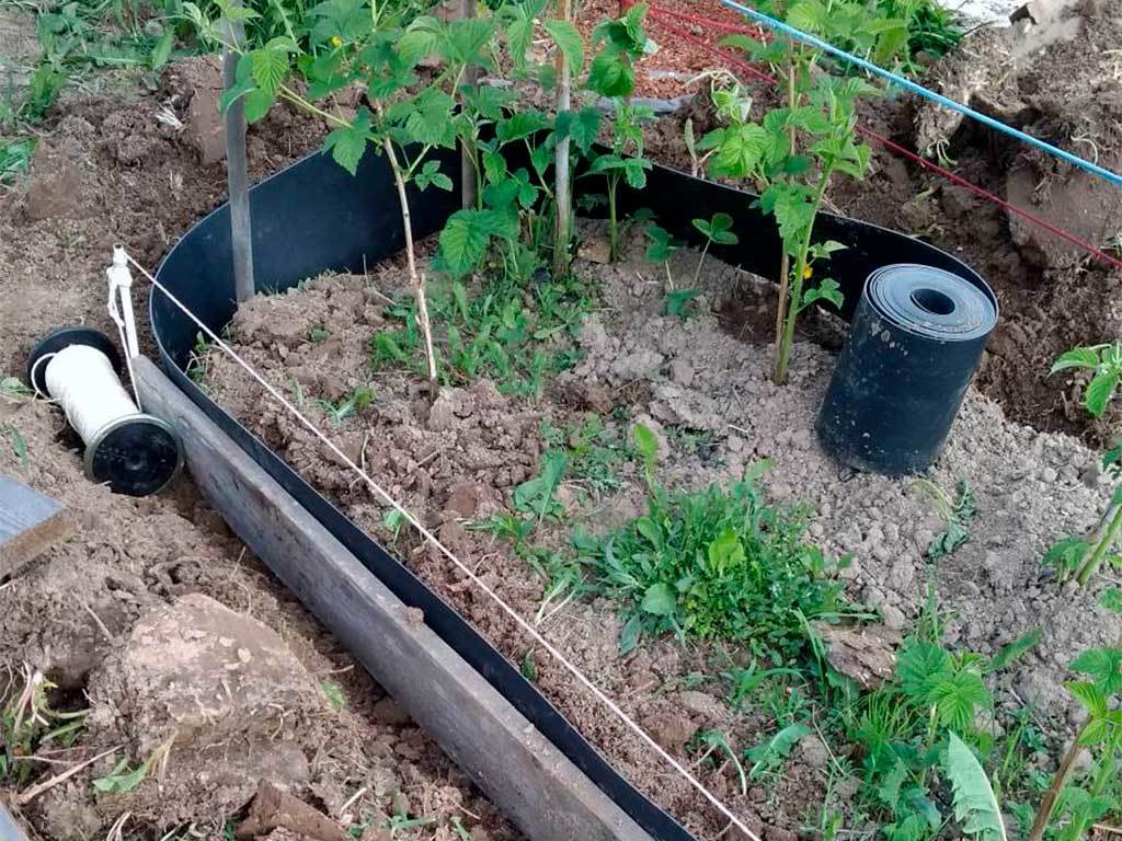 Лента бордюрная 200 мм x 10 м, 2 мм ГеоПластБорд GPBST-37 - Вид №2