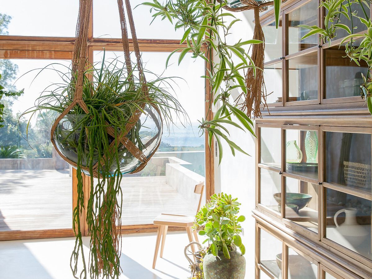 Витрина из дерева и стекла AMPM VIRGINIA ARCH-00046465 - Вид №1