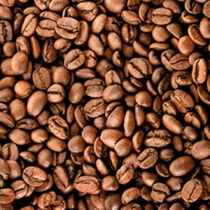 C1-397 Фотообои DIVINO Collection C 2.7х1 м