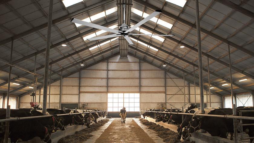 Vortice Nordik hvls super blade  61083  - Вид №3