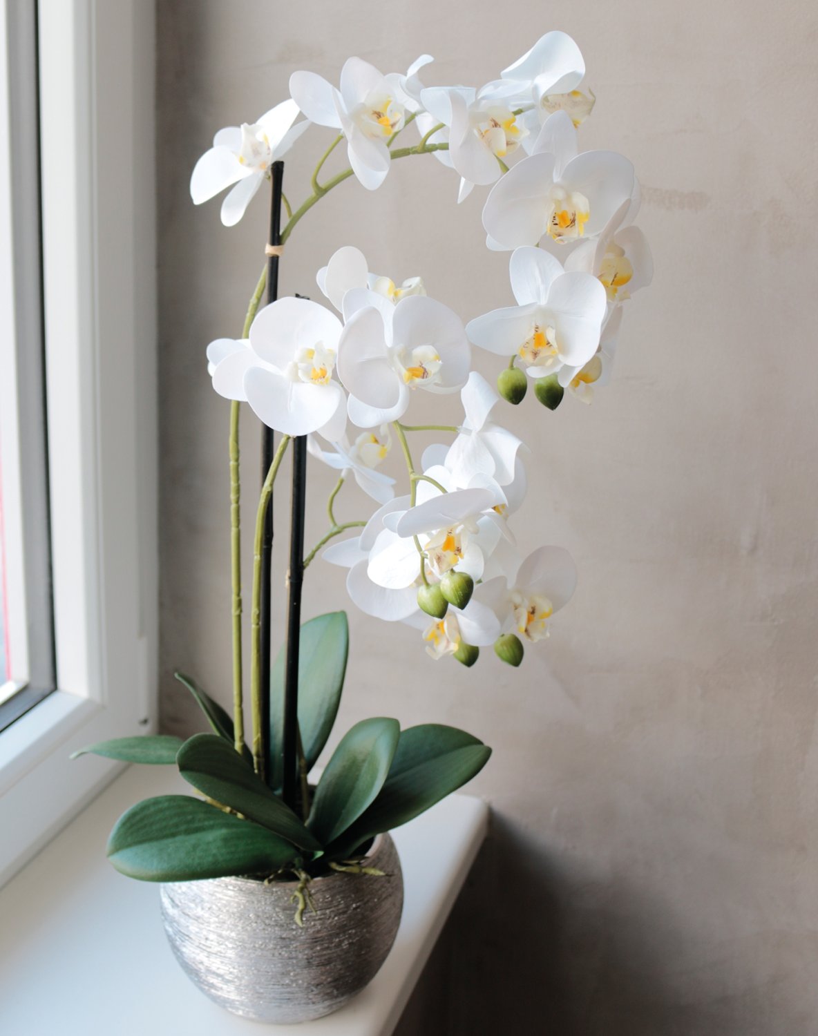 2778 778 a3 Пластиковая орхидея Phalaenopsis, 3-х кратная, горшечная, 55 см, real touch, бежево-белая H-andreas  - Вид №3
