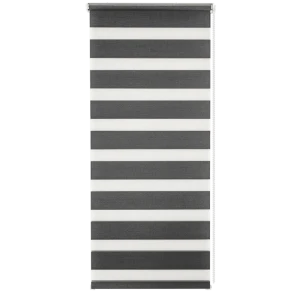 Штора рулонная день-ночь Silver 80x160 см графит 82614450 STLM-2190446
