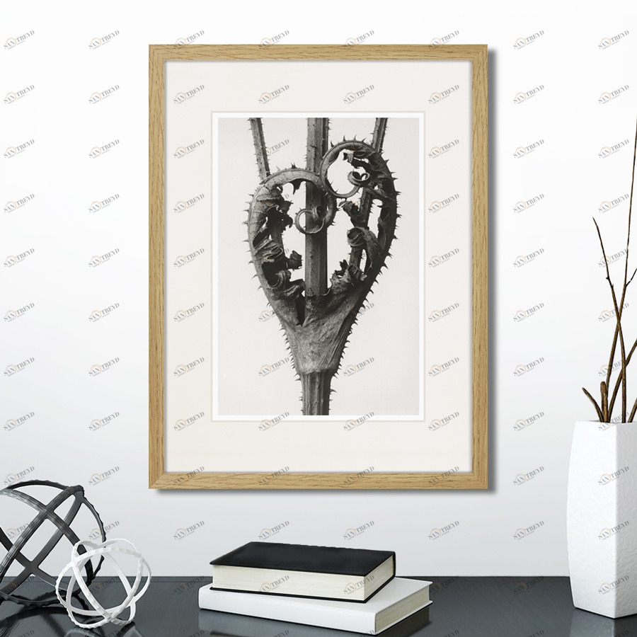 Литография на тонированной бумаге 42х32 см Botanical philosophy of forms №1, 1912г. КАРТИНЫ В КВАРТИРУ  264875 Белый;коричневый;разноцветный 