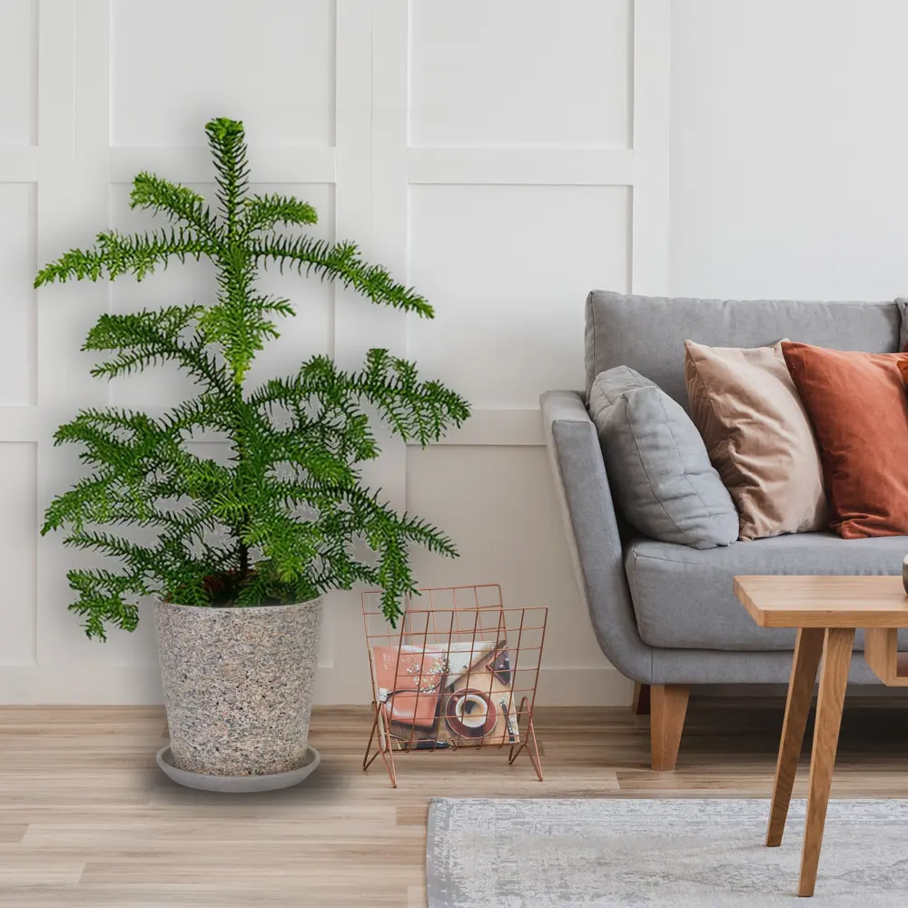 Santreyd Горшок «Лунный камень» для комнатных растений 83406095 STLM-0041003 - Вид №2