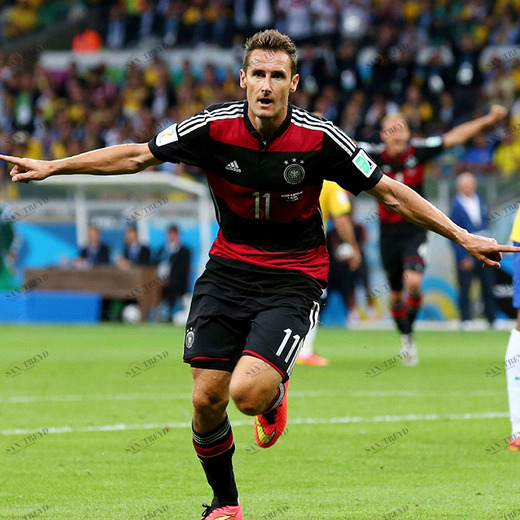 C1-143 Фотообои DIVINO Collection C 2.7х3 м C1143