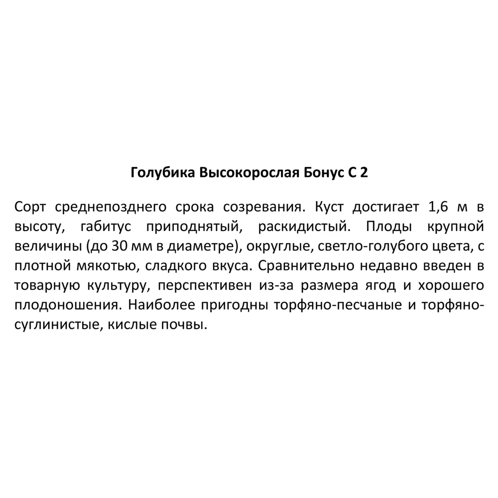 Голубика высокорослая «Бонус», контейнер 2 л 81969627 STLM-2019883 Santreyd  - Вид №2