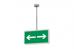 DST-970 Lisu suspended Daisalux Светильники аварийные Белый