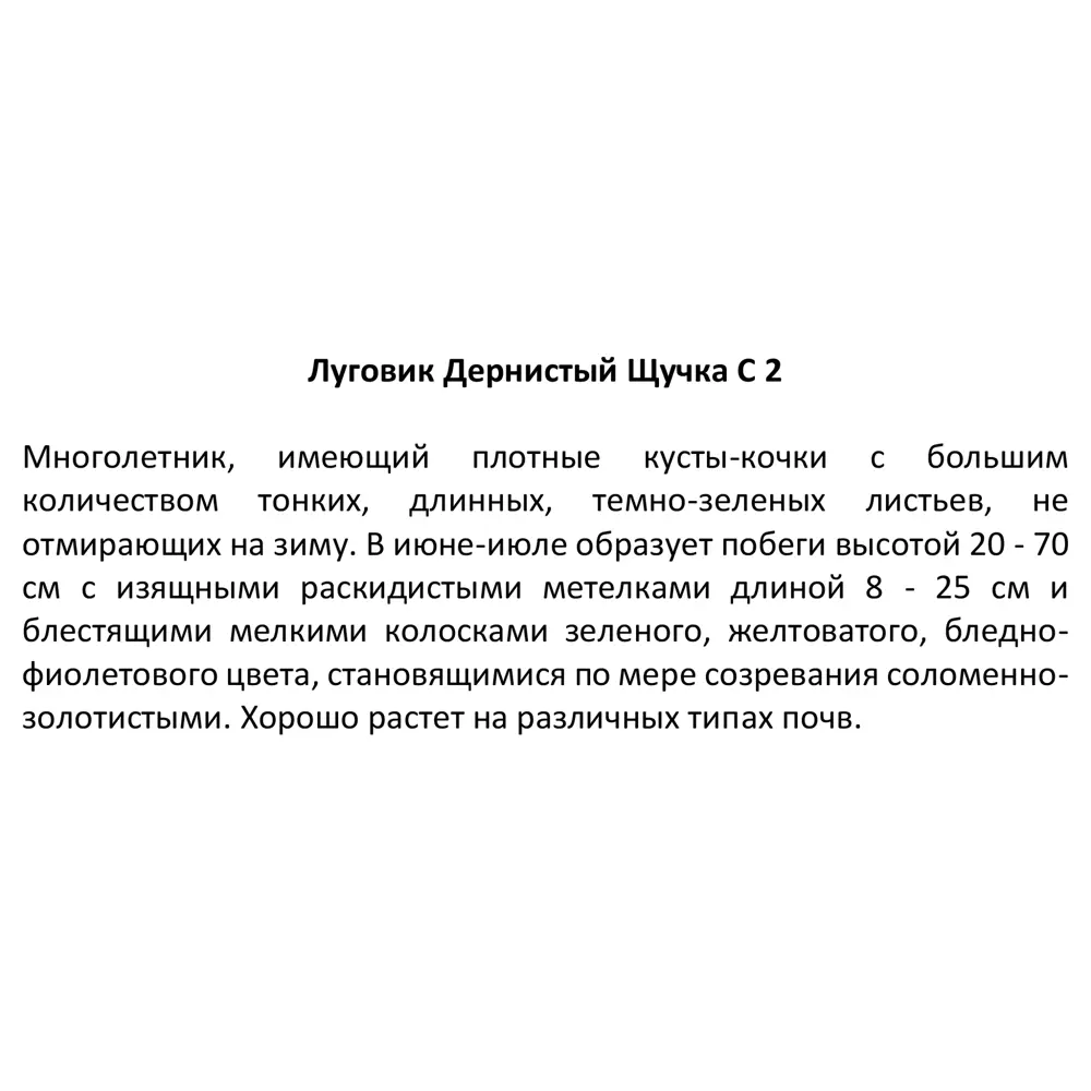 Луговик дернистый «Щучка» 2 л h20 см 82219561 STLM-2102264 Santreyd  - Вид №2