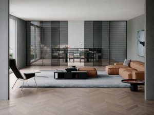 Стеклянная дверь