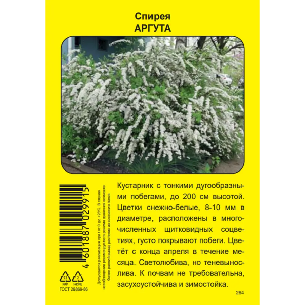 Спирея/Пузыреплодник калинолистный Промо ø5 h37 см 89452405 STLM-2049854 Santreyd  - Вид №3