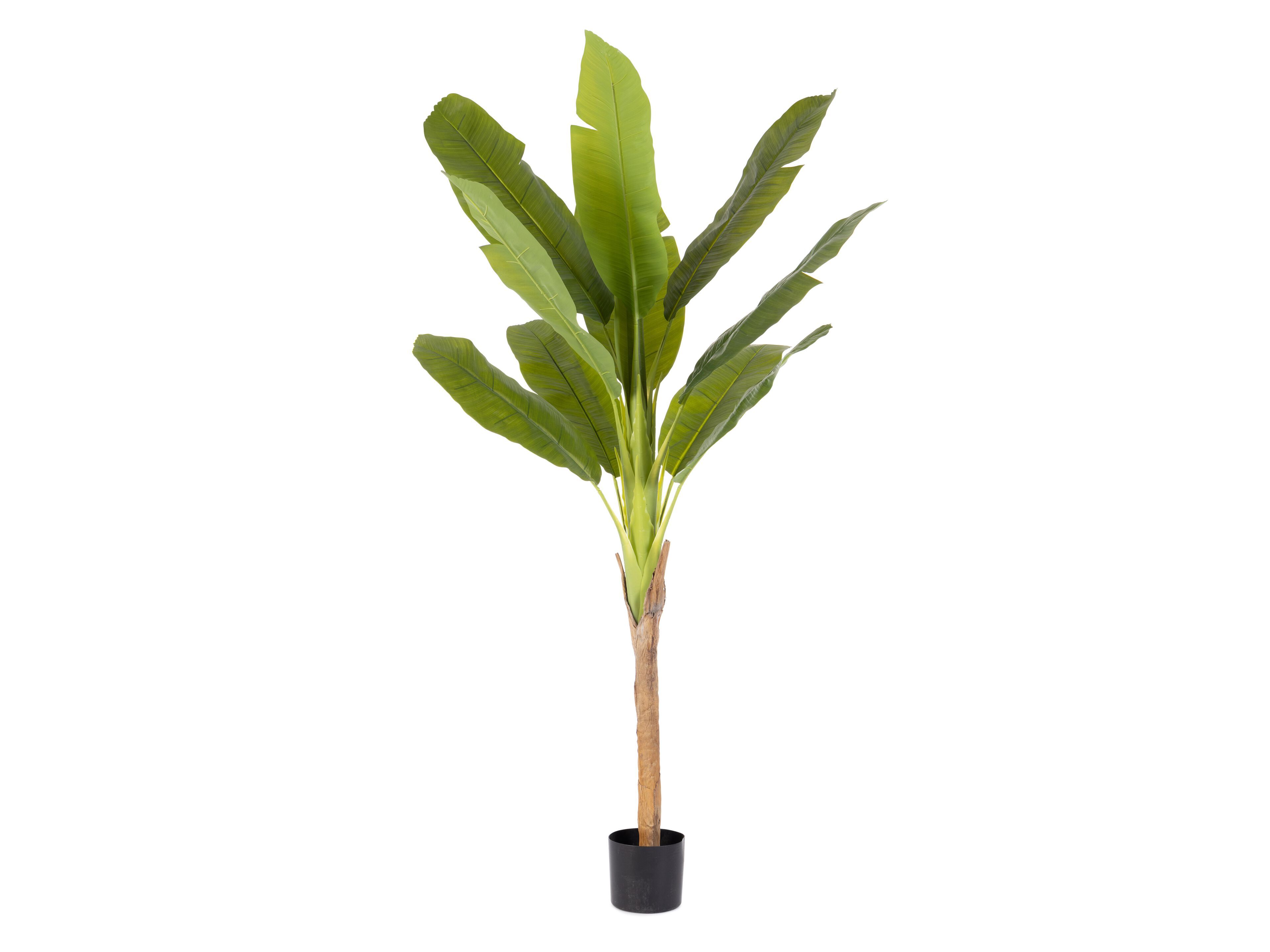 Искусственное растение BIZZOTTO BANANO ARCH-00101643