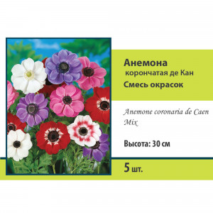 83593857 Анемона корончатая Де Кан микс луковица 5/6
