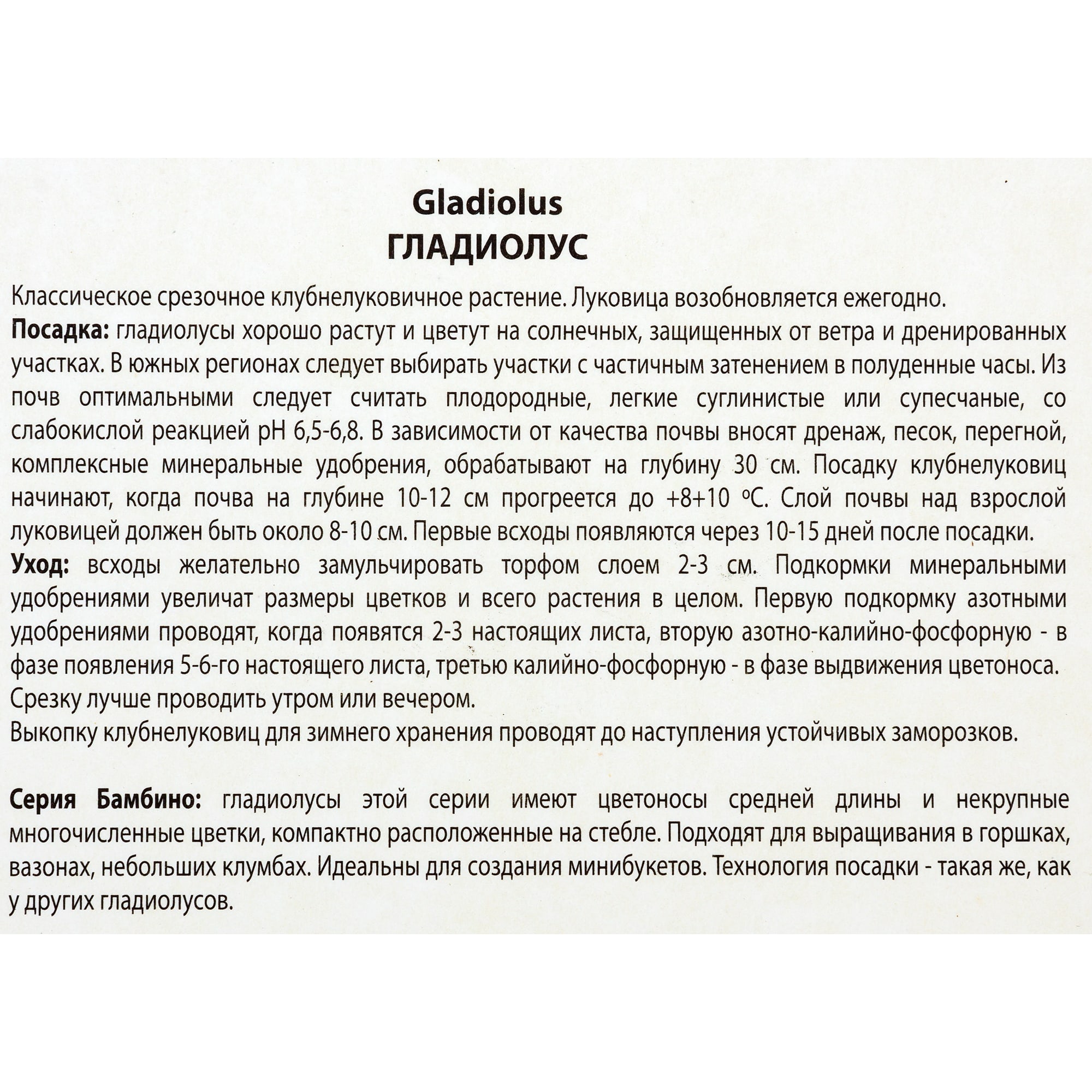 82118687 Гладиолусы бамбино «Примадонна», размер луковицы 10/12, 3 шт Santreyd  - Вид №2