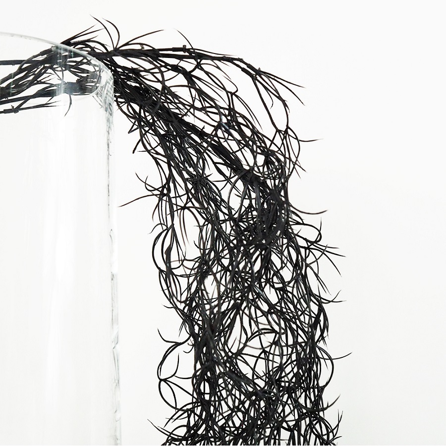 Тилландсия искусственная Mr Plant 106375 - Вид №1