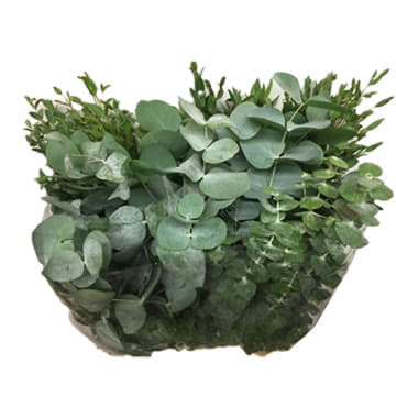 Листья эвкалипта микс 70 см Santreyd 26391