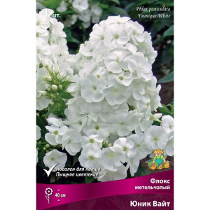 83600087 Флокс метельчатый Юник Вайт для патио луковица I