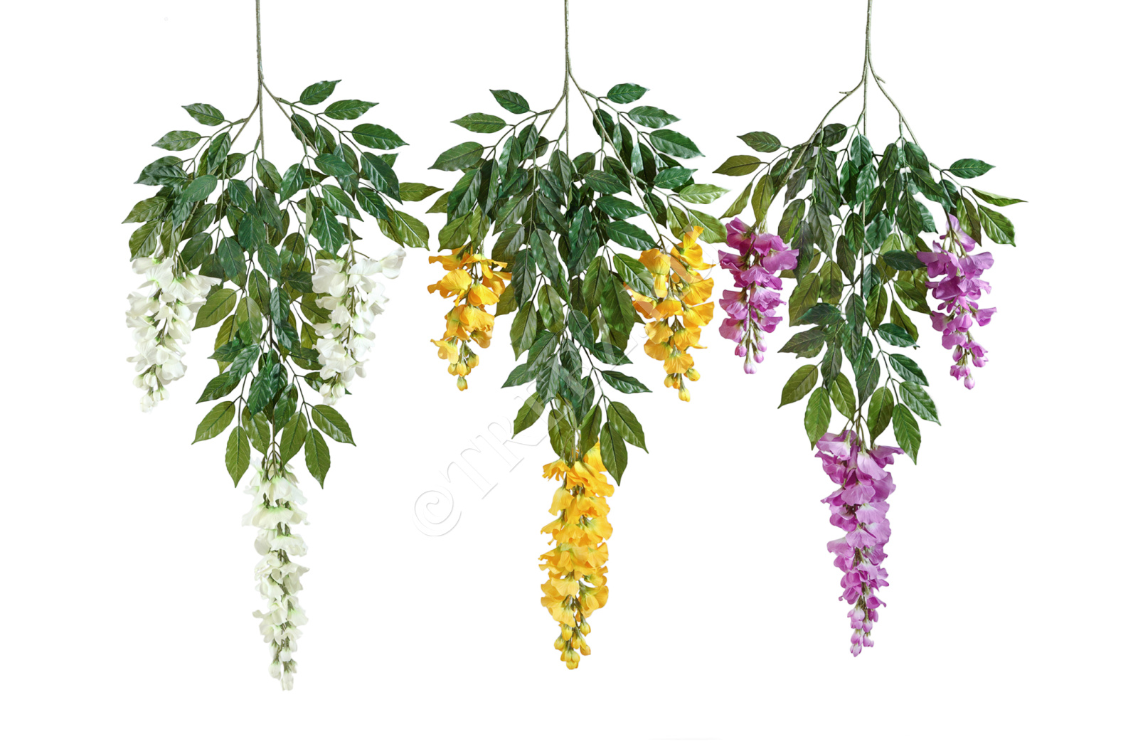 20.1570CR Ветка вистерии цветущей Цветочная коллекция 