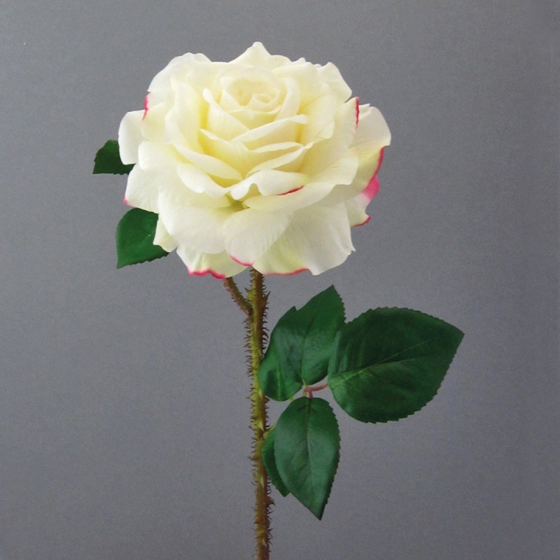 L131X7 Роза Регия Adriani e Rossi белый  - Вид №1