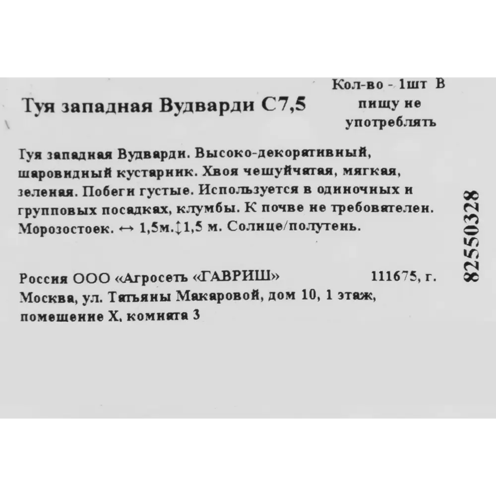 Туя западная «Вудварди» 22x40 см 82550328 STLM-2154455 ГАВРИШ  - Вид №1