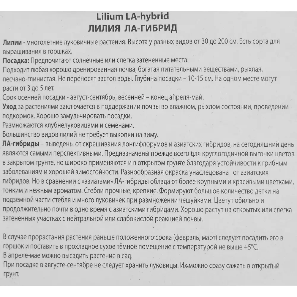 Лилия ла-гибрид Лаксми 85186033 STLM-2190077 ПОИСК  - Вид №2