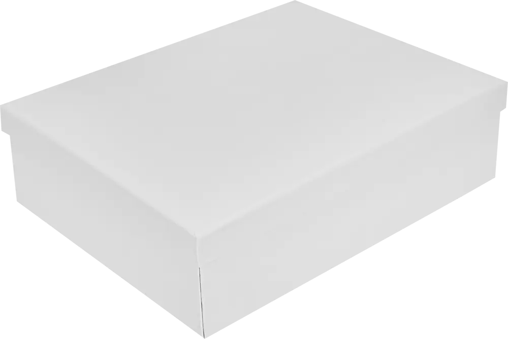 STORIDEA — Белые складные коробки для хранения 35×27×10 см, 2 шт 89340088