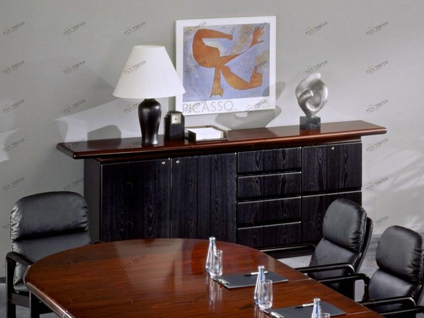 Dyrlund Деревянный офисный шкаф в классическом стиле sun-id-1421656