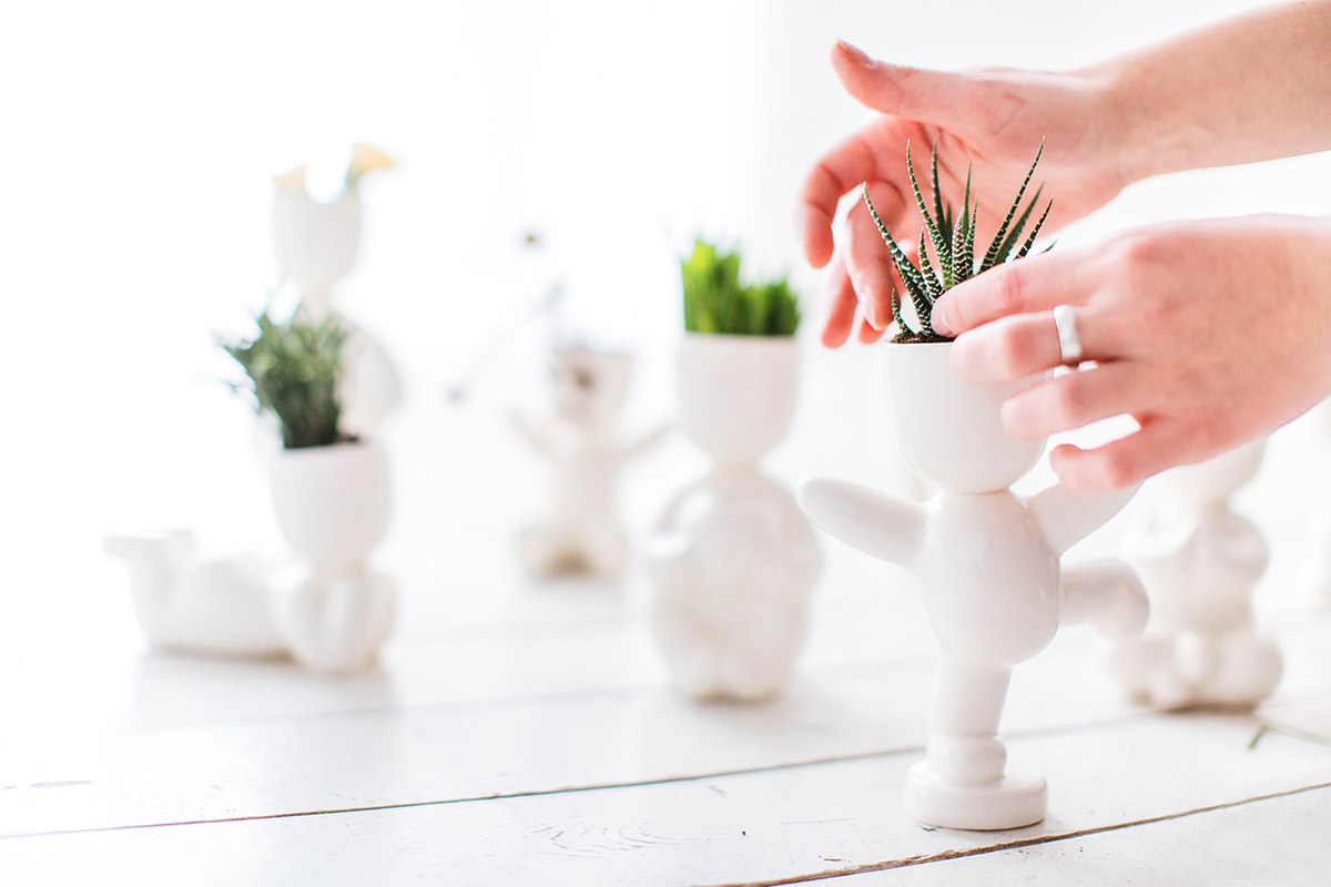 1001 Набор для выращивания eco танцор Экочеловеки  - Вид №3