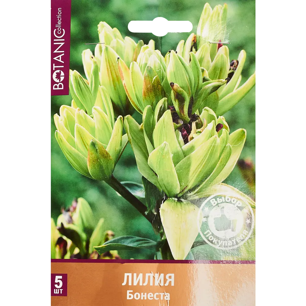 Лилия азиатская Бонеста 5 шт. 83628522 STLM-2093974 BOTANIC COLLECTION  - Вид №1