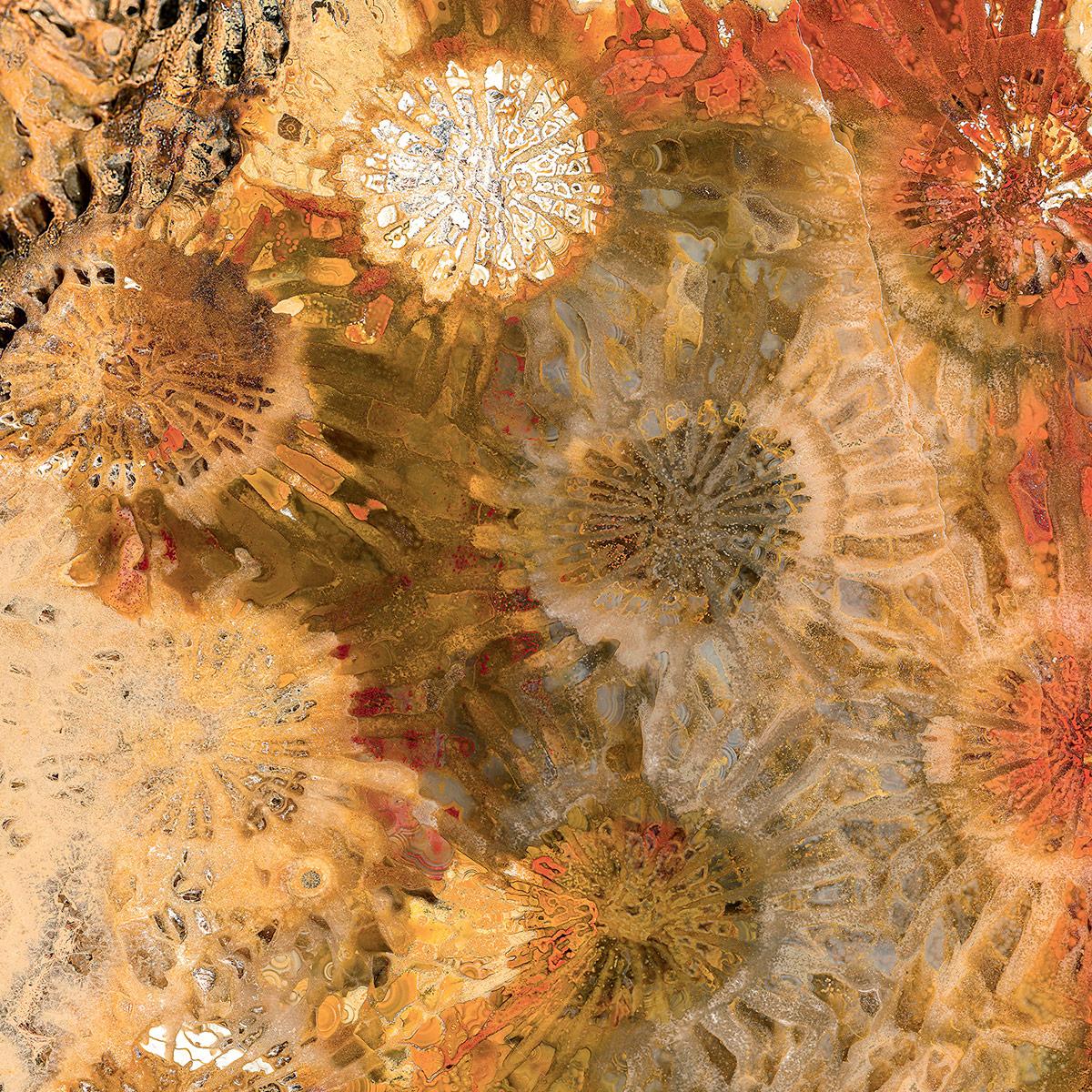 SICIS Rhino Orange Vetrite sun-id-1991220