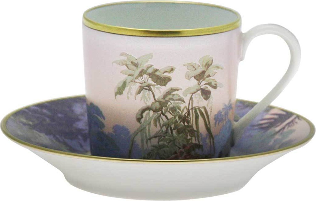 10557419 Haviland Набор из 4 чашек кофейных с блюдцами 90мл "Бразилия" Фарфор 