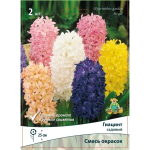 Гиацинты садовые микс 12 мм, 2 шт. 89396394 STLM-2208191