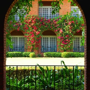 B1-057 Фотообои DIVINO Collection B 2.7х2 м