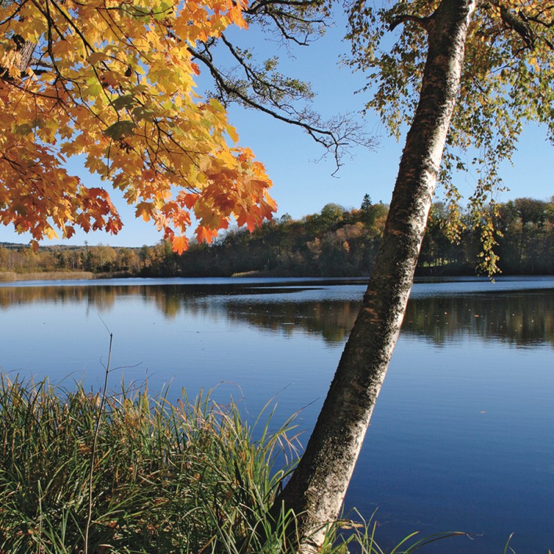 0685/CX38 Картина 0685 Adriani e Rossi 