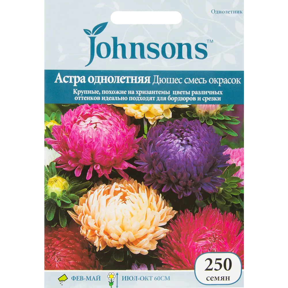 Семена цветов Астра Герцогиня смесь окрасок Johnsons 13877063 STLM-2061102 