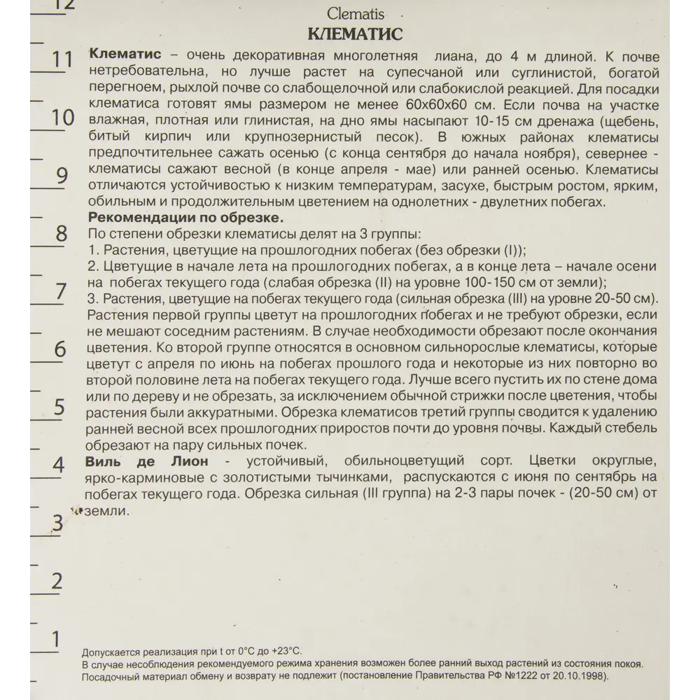 Клематис Виль де Лион Поиск 18345584 STLM-2056454 Santreyd  - Вид №1